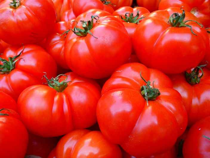 Как организовать правильный полив томатов в теплице