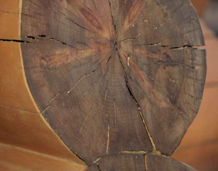 Как защитить древесину от жучков и воздействия окружающей среды
