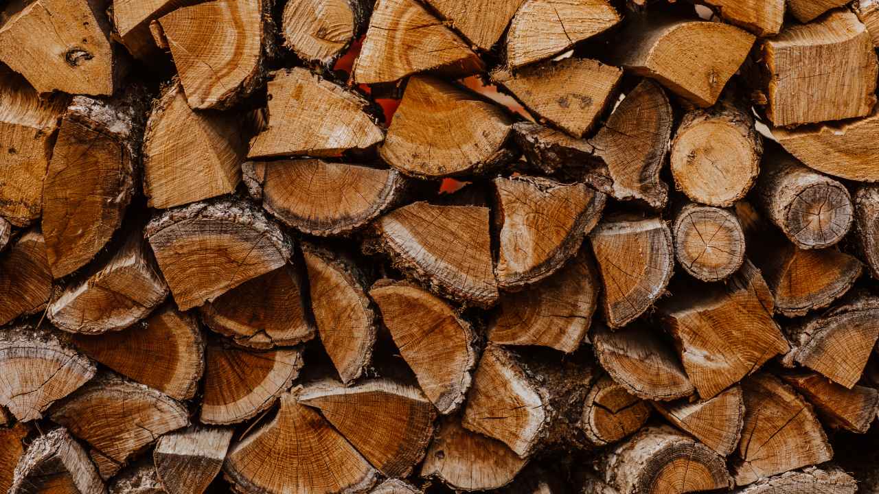 Какие дрова стоит заготавливать для бани 