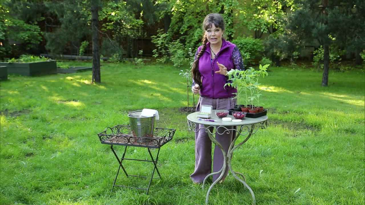 Как ухаживать за руками садовода