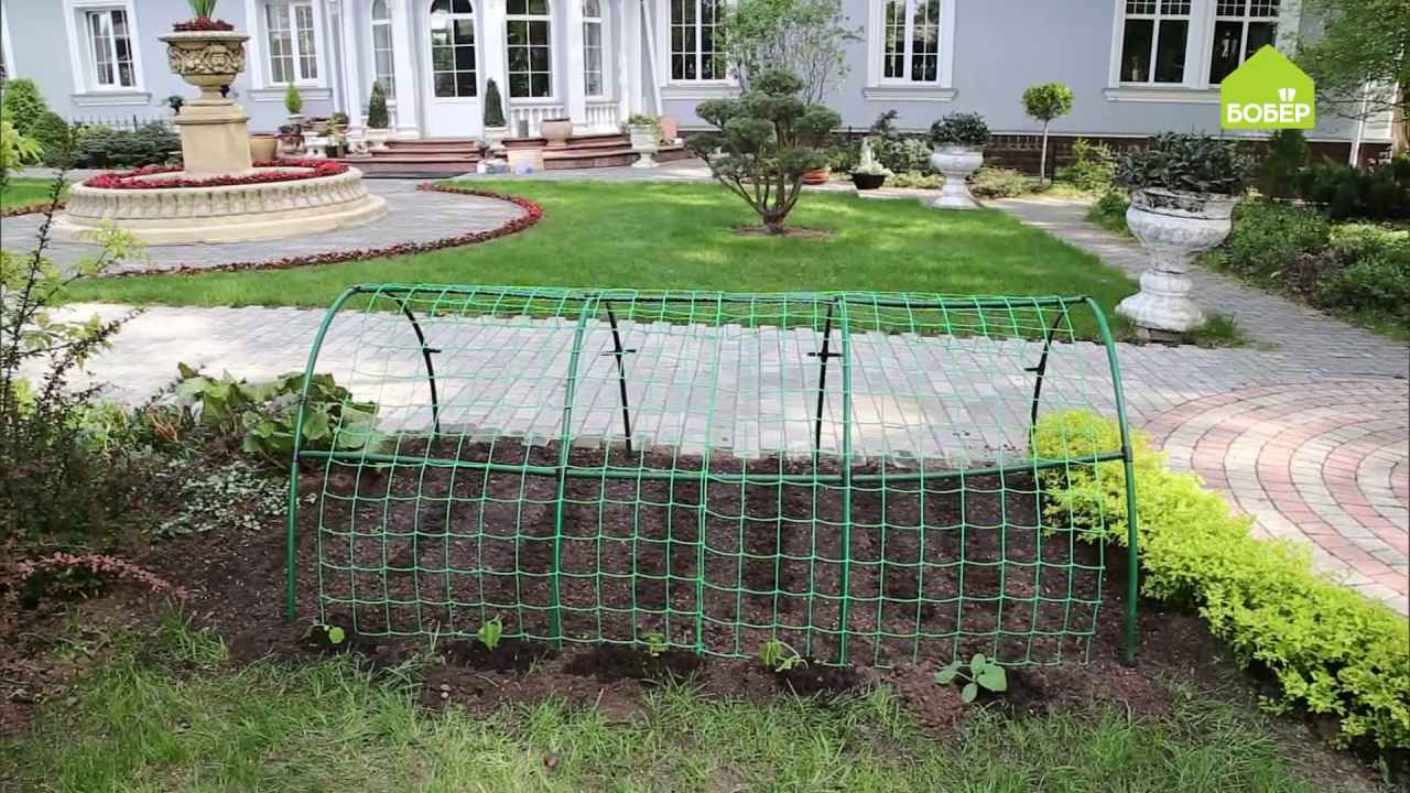 Двухуровневая грядка для зелени и огурцов