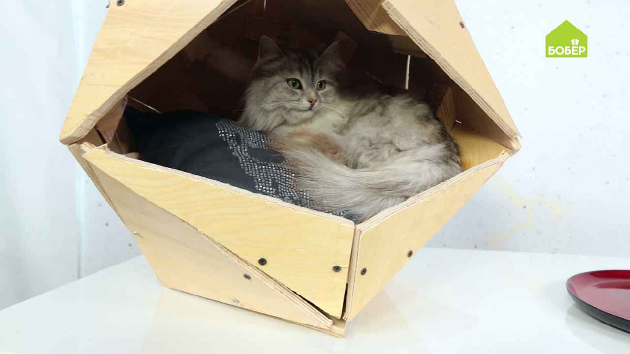 Домик для кошки из фанеры