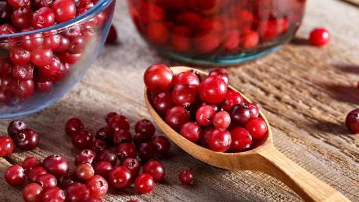 Как вырастить садовую клюкву