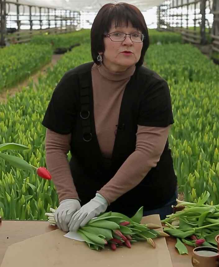 Как правильно хранить срезанные тюльпаны