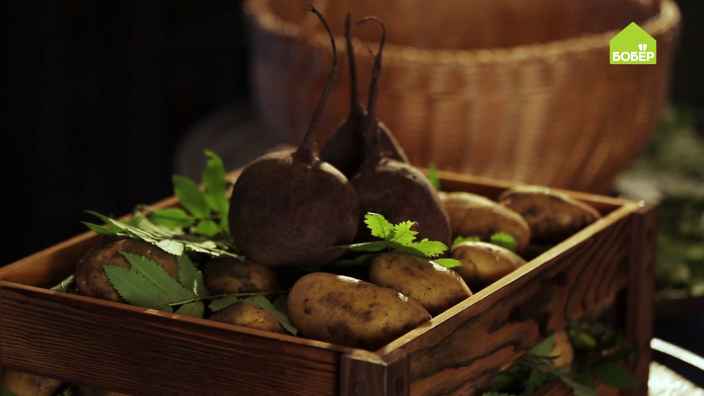 Как правильно хранить урожай картофеля