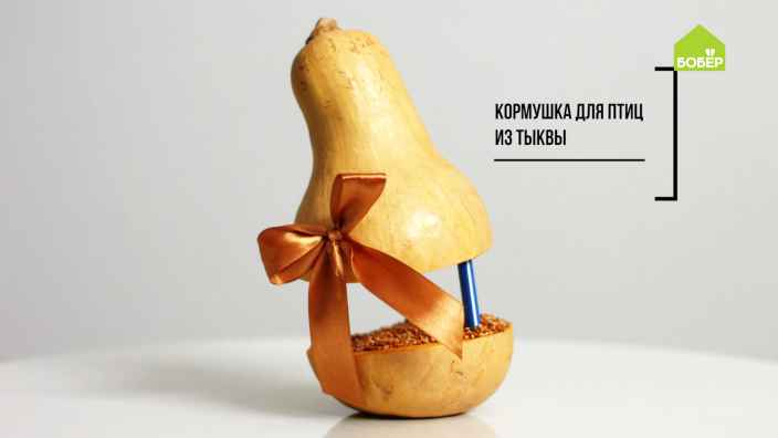 Лайфхаки: делаем кормушки для птиц