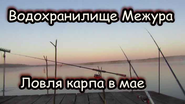 Рыбалка. Рыбхоз Межура