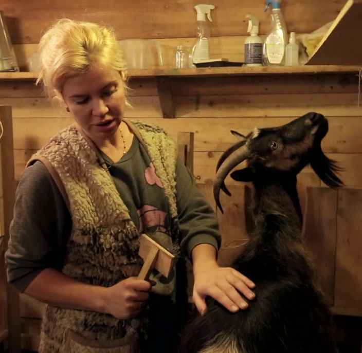Гигиена содержания коз: расчёсываем шерсть и обрезаем копыта