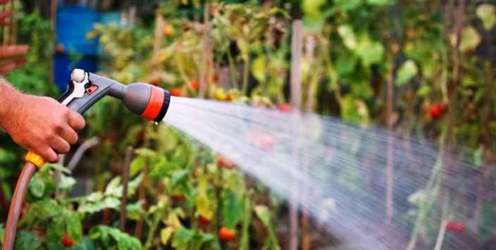 Использование водоема для полива огорода