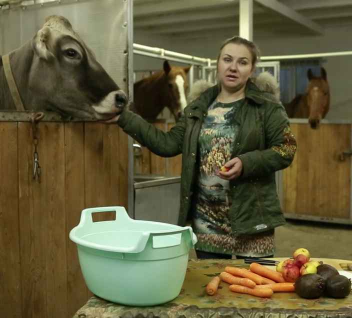 Овощи и фрукты в рационе домашних животных