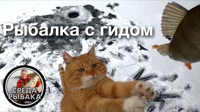 Рыбалка в Подмосковье