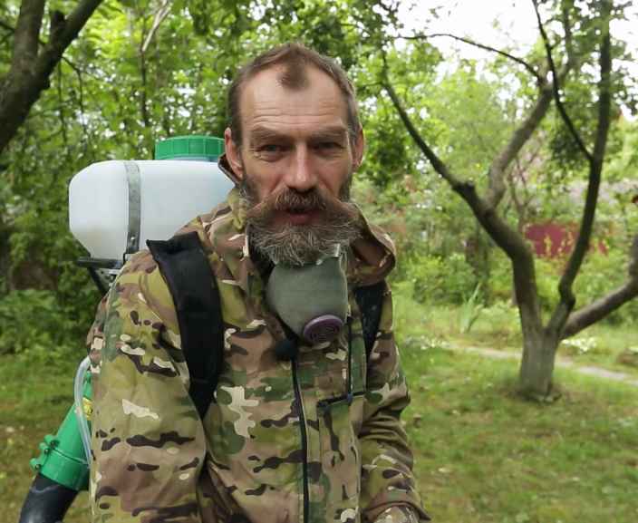 Как защитить плодовые деревья от гусениц