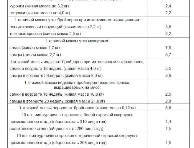 Критерии выбора качественного молодняка птицы