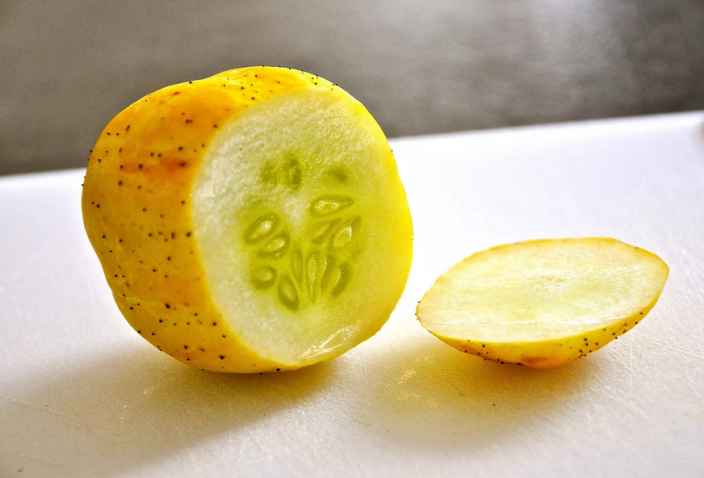 Хрустальное яблоко — растим огурец-лимон
