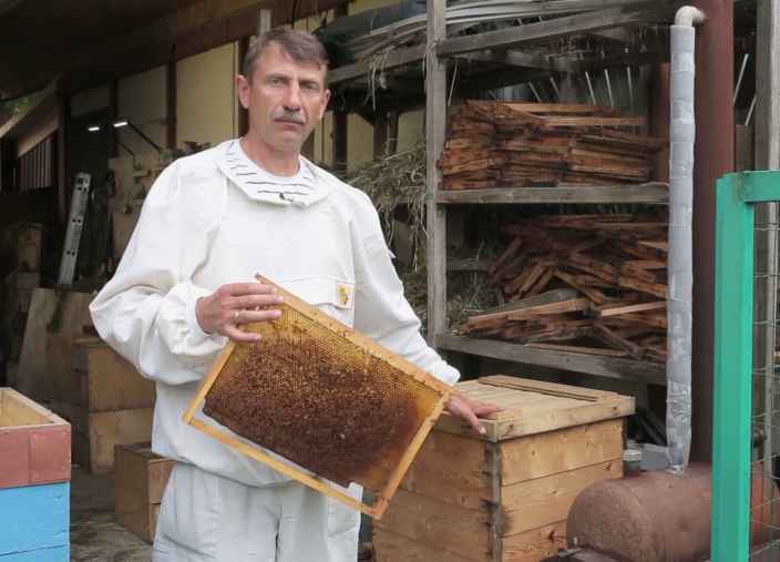 Как очистить пчеловодческие рамки