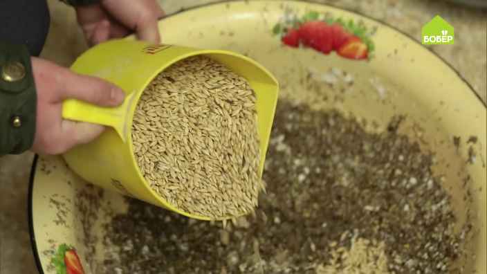 Как оборудовать курятник, чтобы куры несли яйца зимой