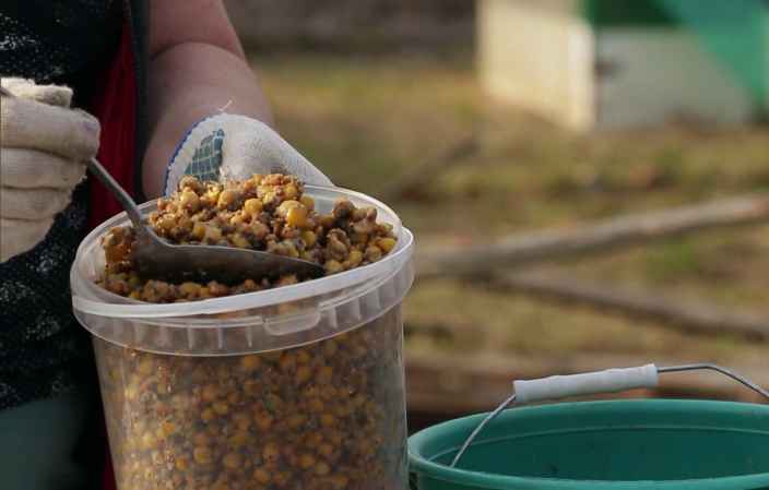 Как приготовить питательный корм для домашней птицы