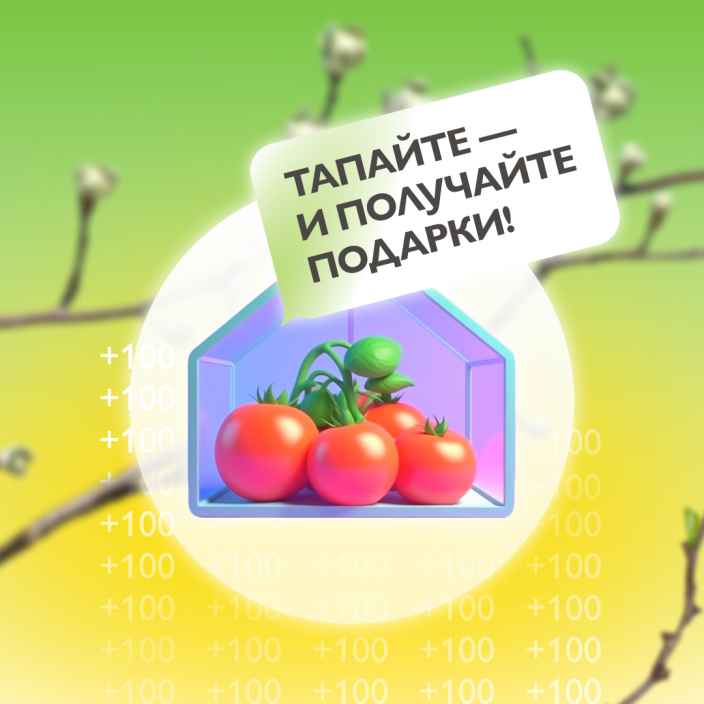 Игра телеканала «Бобёр»