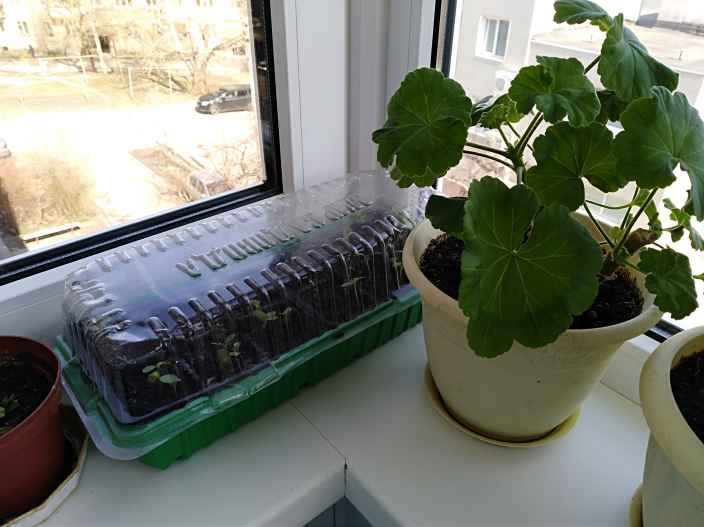 Конкурс