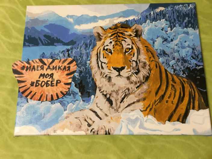 Тигр с снегах 