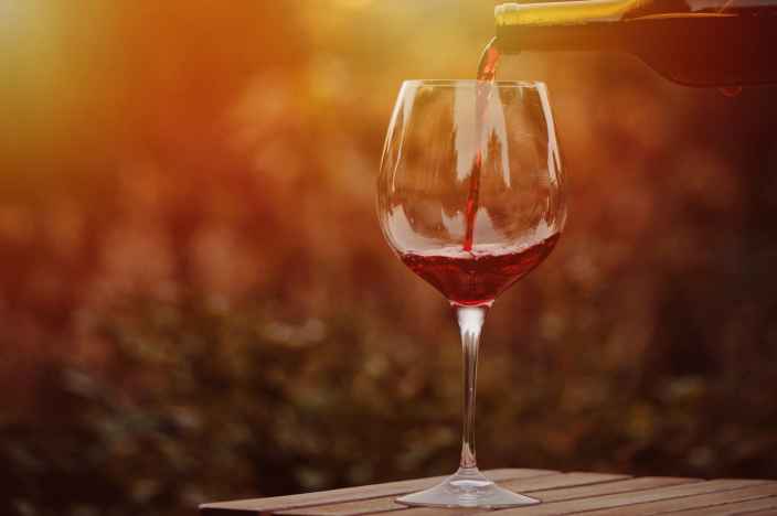Учёные из Гарварда выяснили, что умеренное употребление алкоголя может продлить жизнь
