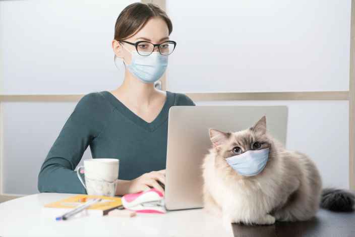 «Копыта откинет» — Куклачёв рассказал, как быть, если ваша кошка заразилась коронавирусом