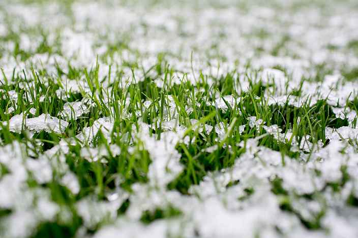 Подготовка газона к зиме: советы и секреты