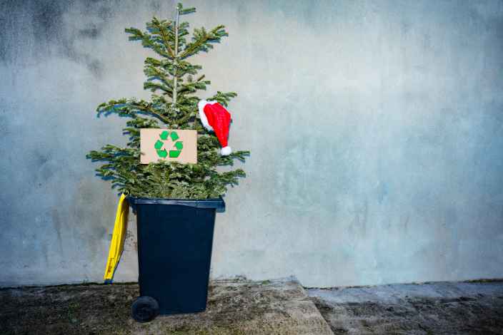 Утилизируем новогоднюю ёлку правильно: экологичные идеи