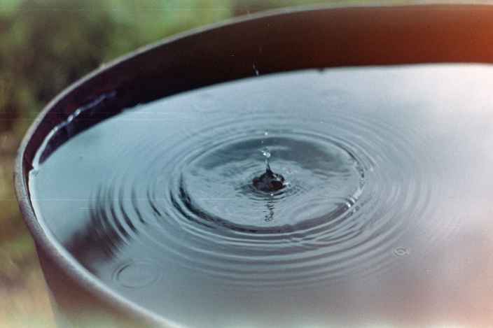 Дачники имеют право поливать огороды чистой водой