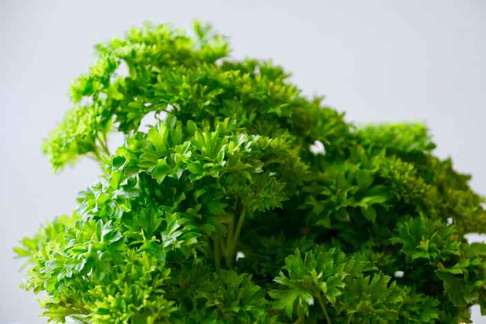Какие продукты укрепляют иммунитет
