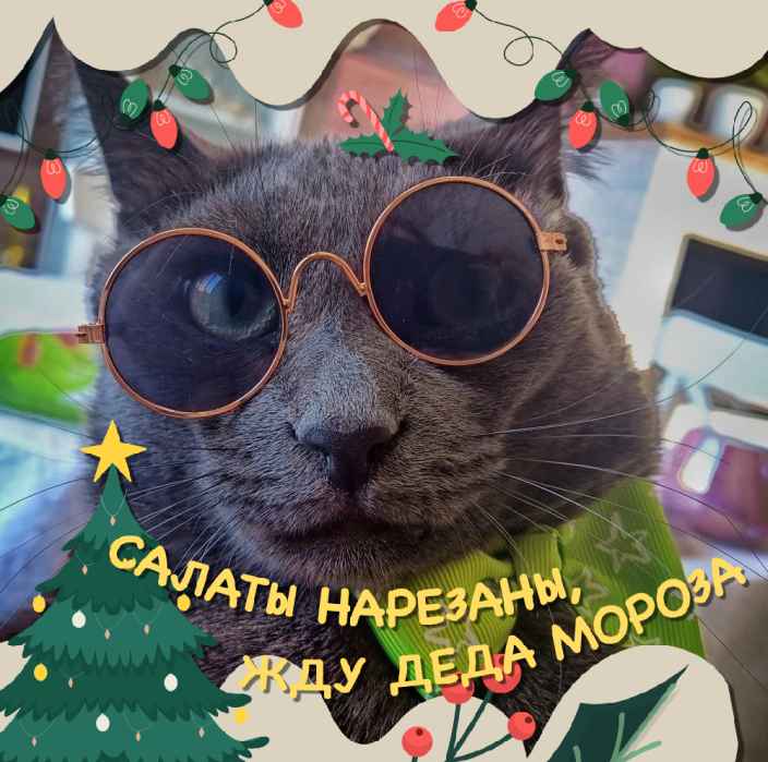 Телеканал «Бобёр» заряжает атмосферой Нового года в своей группе в Одноклассниках!