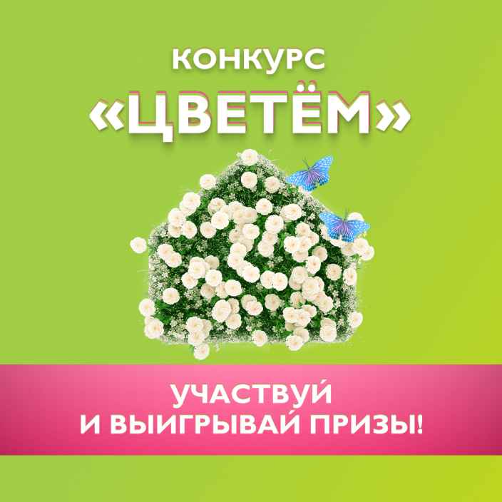 «Цветём» вместе с нами — телеканал «Бобёр» проводит яркий конкурс с полезными призами!