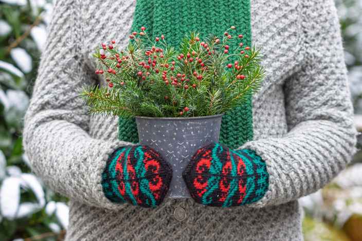 Как сохранить свежесть хвойных веток