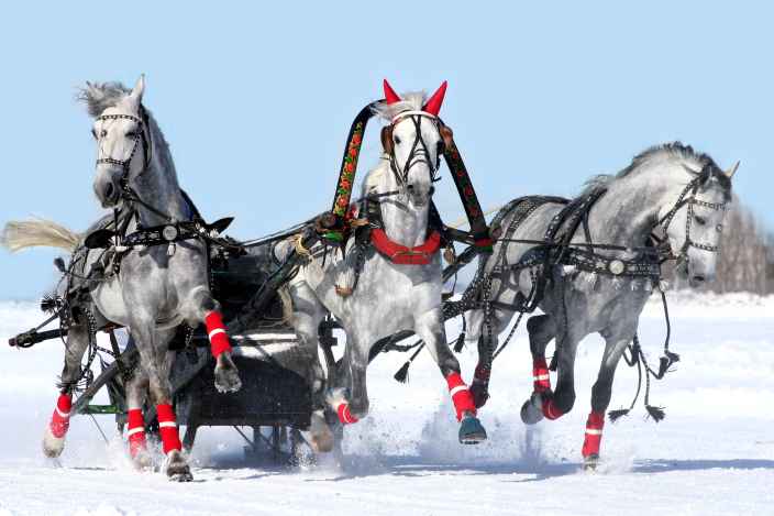 Чем занимаются россияне зимой