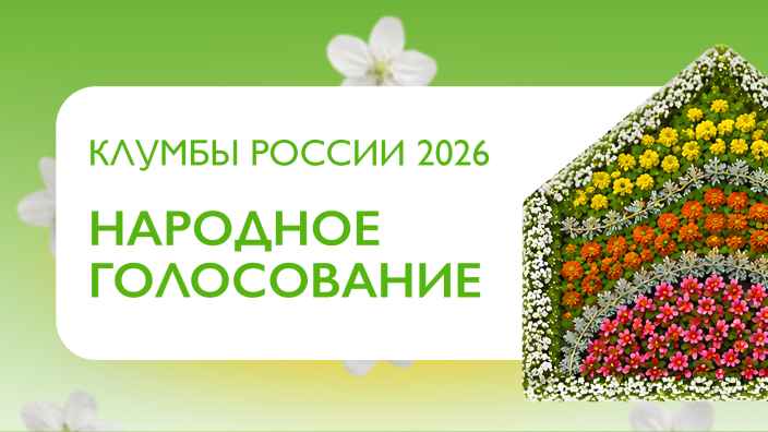 Телеканал «Бобёр» запустил народное голосование Всероссийского конкурса «Клумбы России 2026»