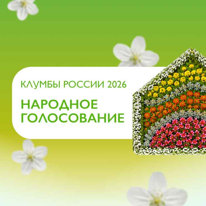 Телеканал «Бобёр» запустил народное голосование Всероссийского конкурса «Клумбы России 2026»