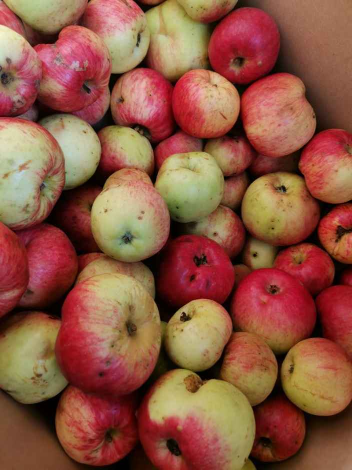 В этом году собрали очень большой урожай яблок. Поделитесь пожалуйста рецептами, что можно из них пр