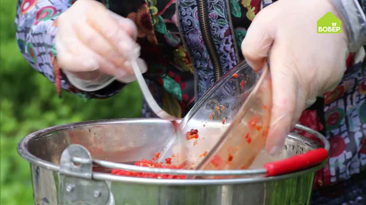 Боремся с вредителями: концентрат из перца - Бобёр.ру