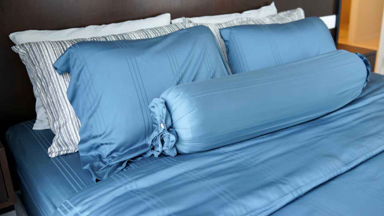 Фото: Shutterstock.com 