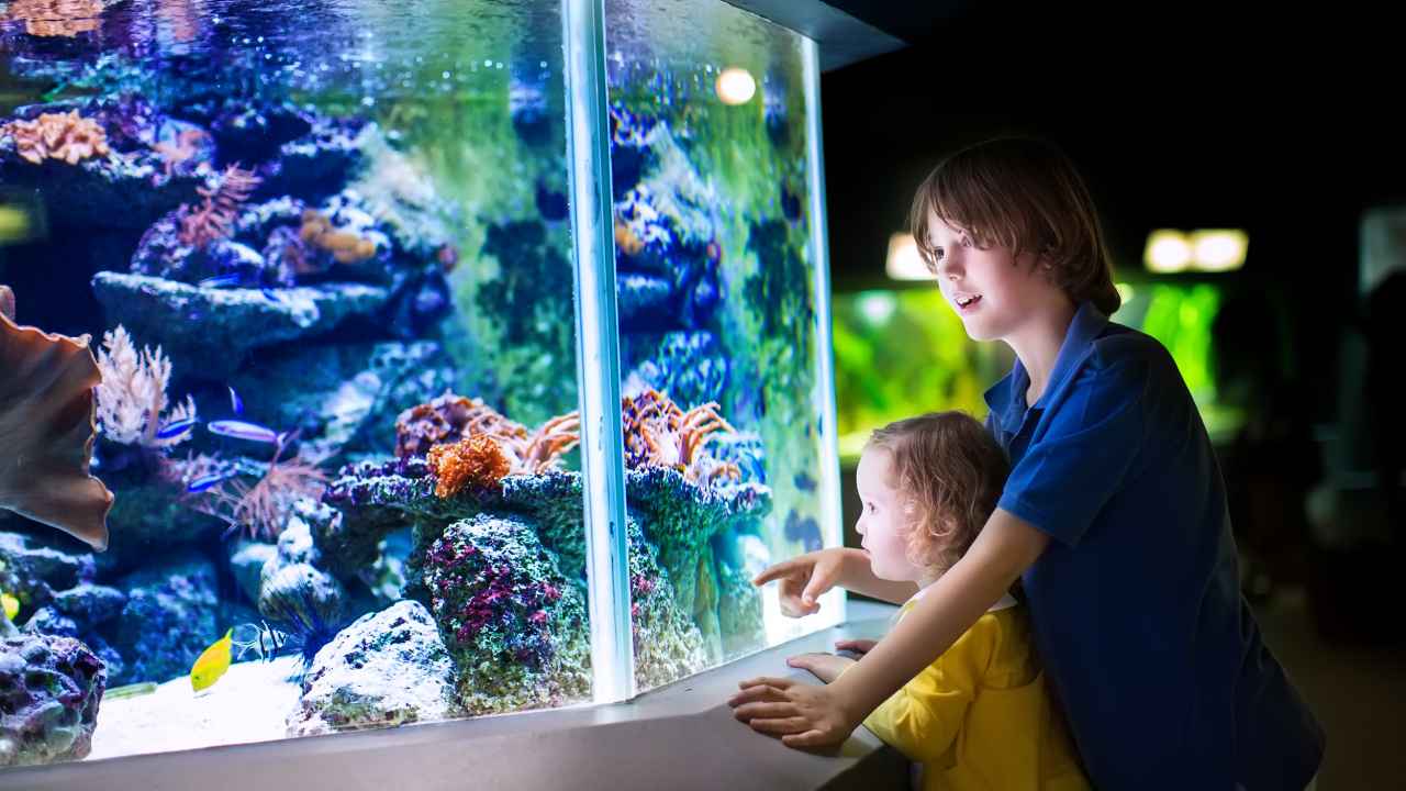 Фото: FamVeld/Shutterstock.com