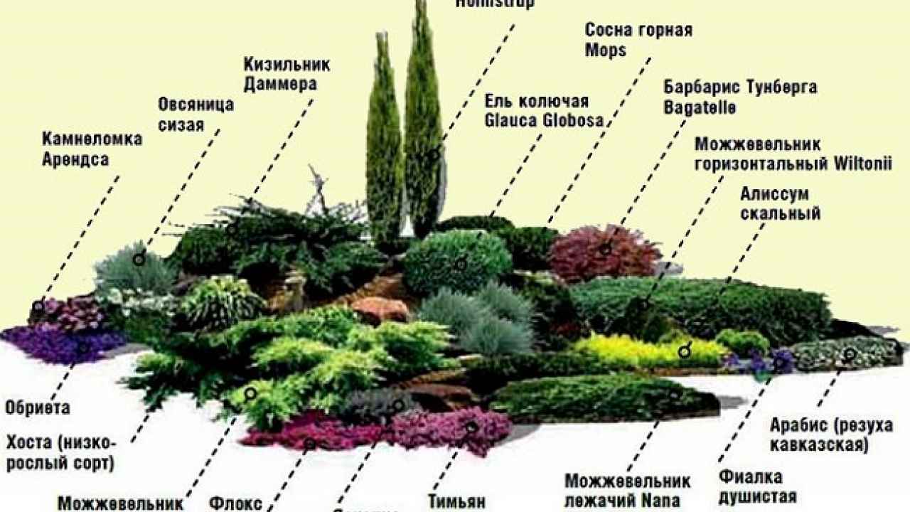 Посадка