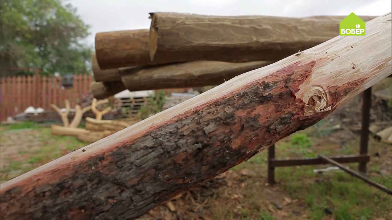 Фото бревна похожее на девушку