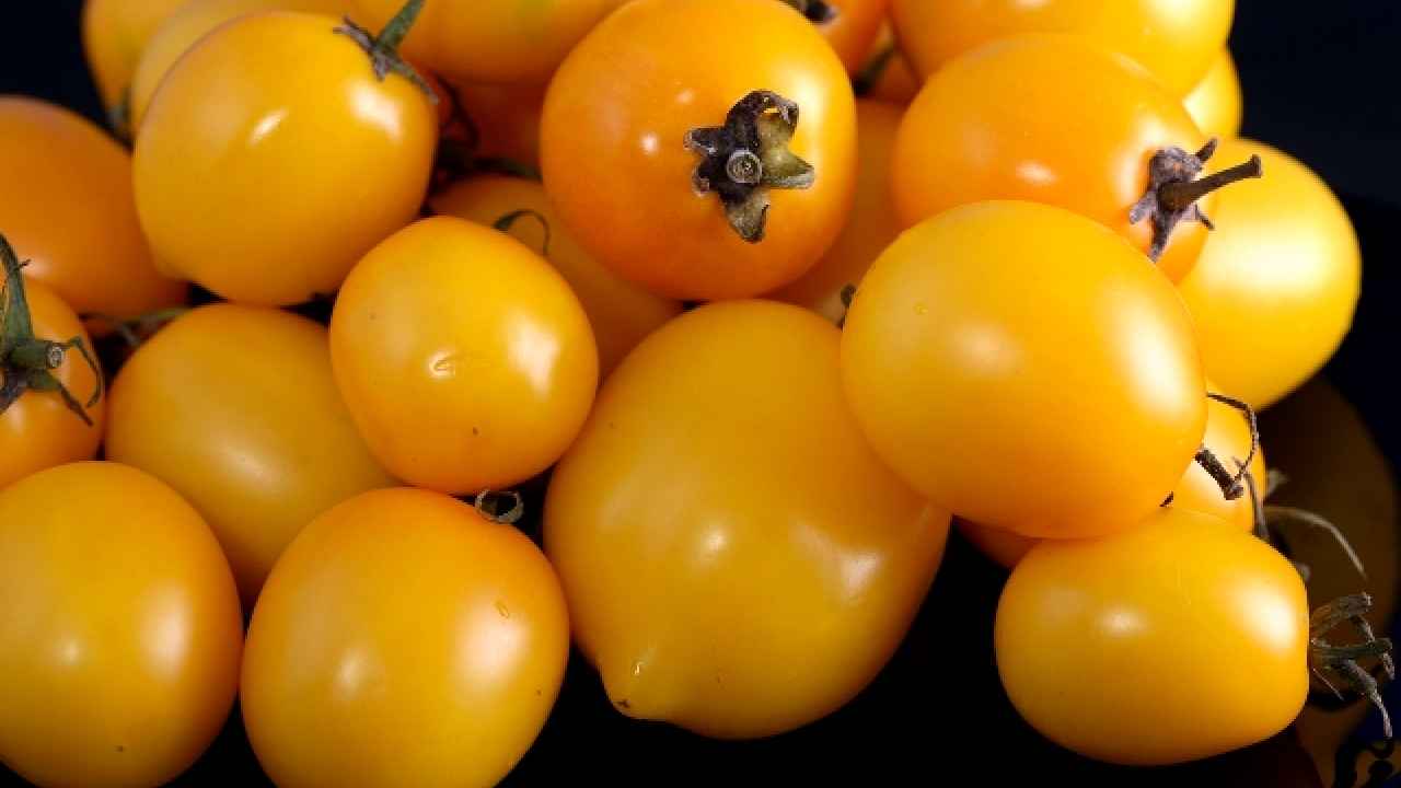 Сорта желтых помидор с фото и названиями