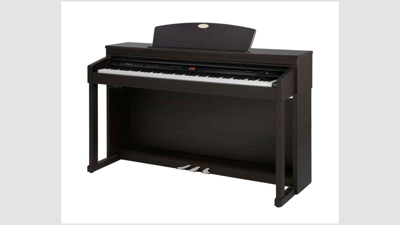 Фото: All Music Instruments/Shutterstock.com