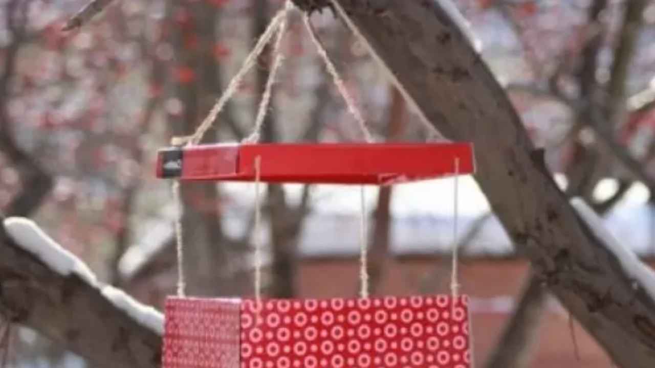 Кормушка для птиц из коробки для обуви
