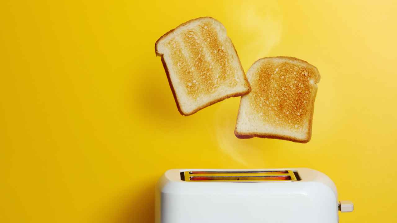 Фото: Melica/Shutterstock.com