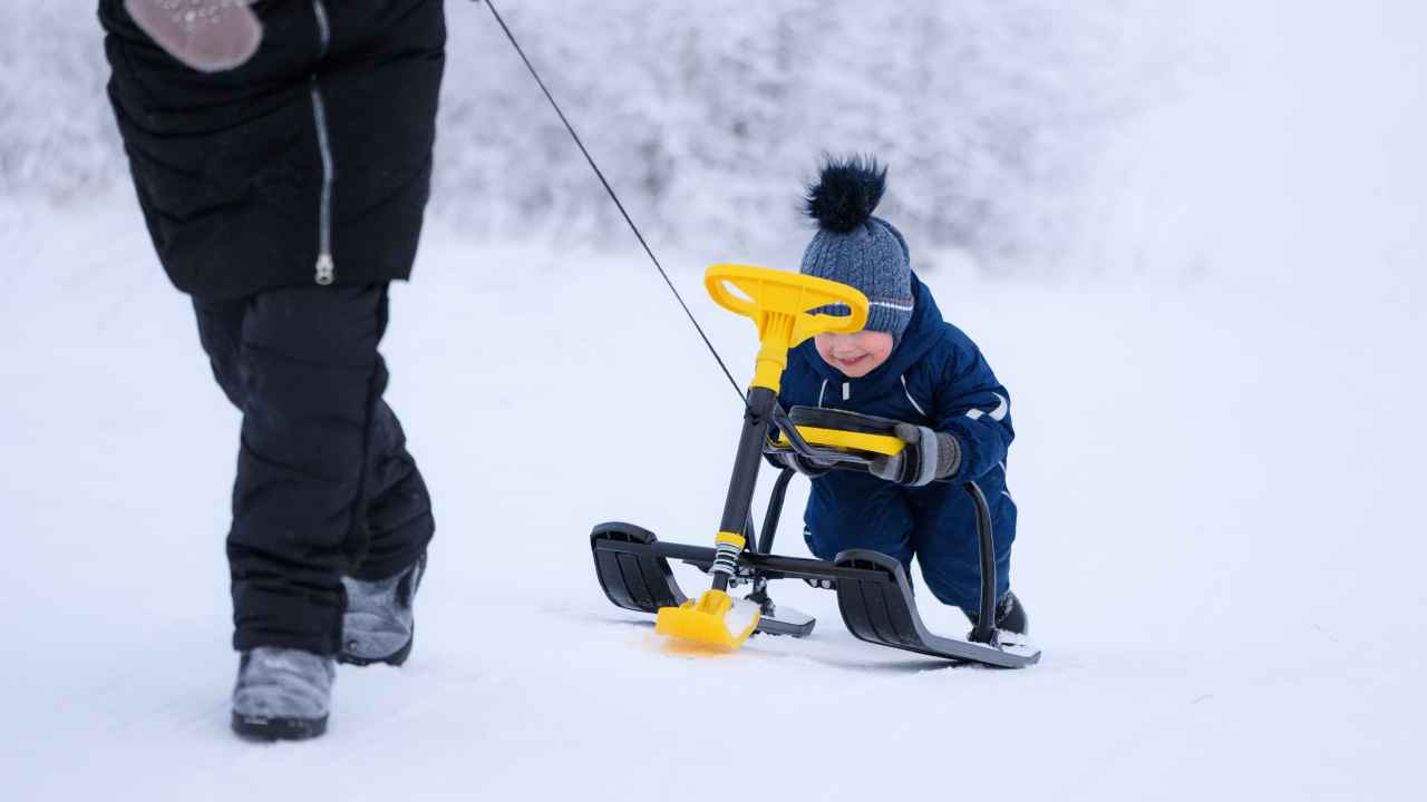 Фото: IRINA ORLOVA/Shutterstock.com