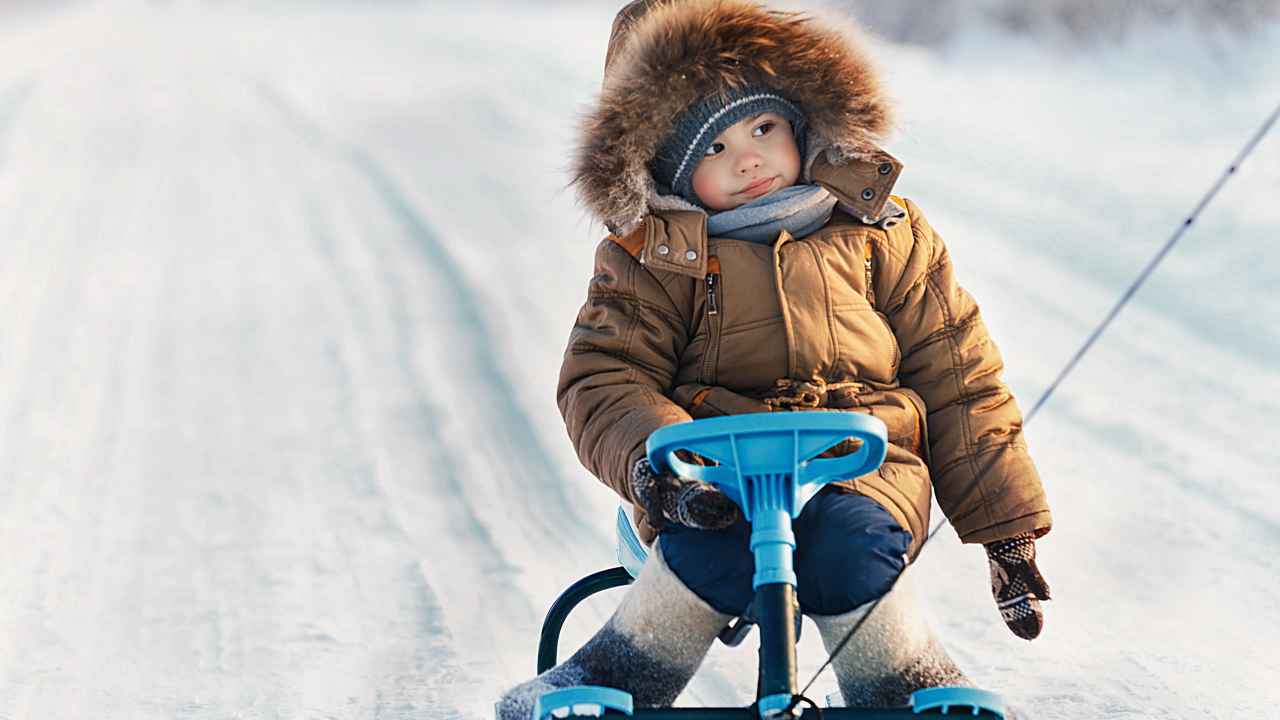 Фото: barddim/Shutterstock.com