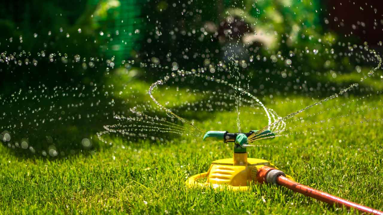 Фото: Konoplytska/Shutterstock.com