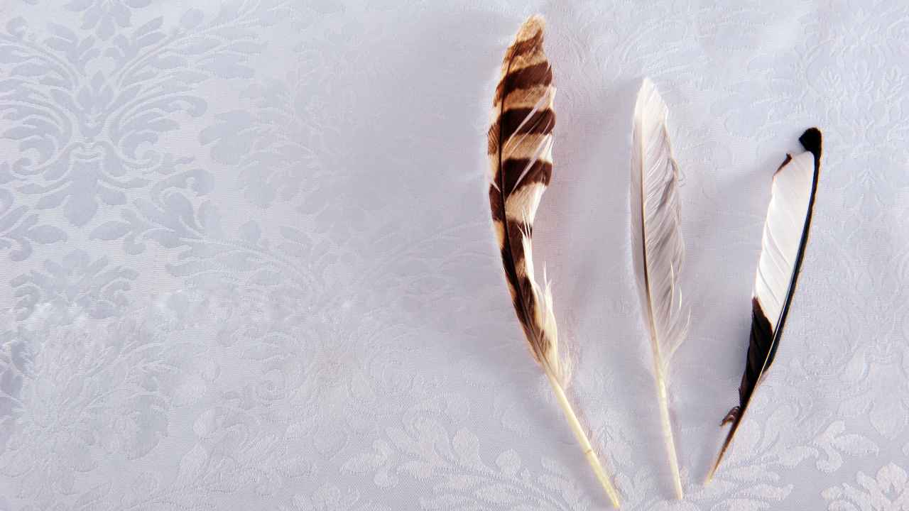 Фото: GracefulFoto/Shutterstock.com